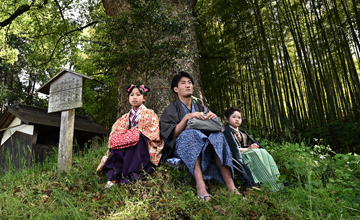 倉敷物語はちまんロケ地紹介_木見の大楠