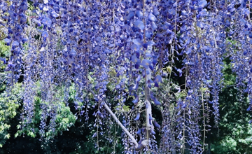 倉敷物語はちまんロケ地紹介_和気町