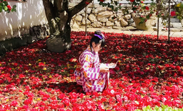 倉敷物語はちまんロケ地紹介_矢掛町
